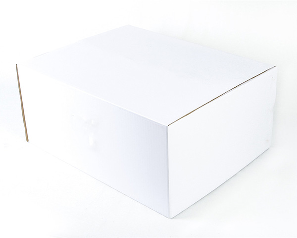 白色单瓦楞纸箱3层