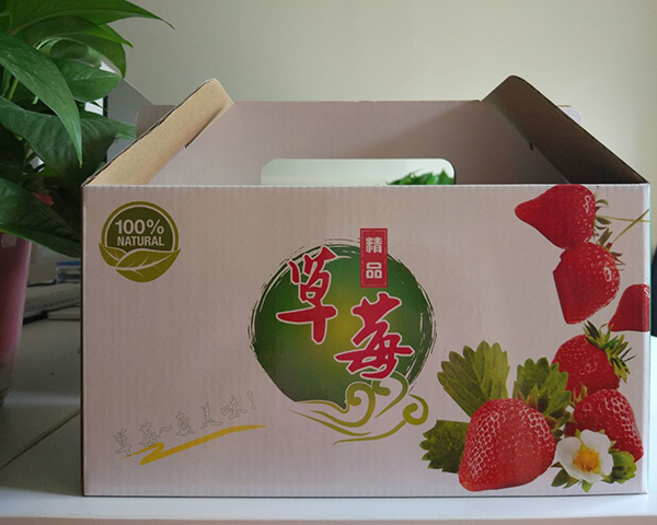 丽新草莓基地订购水果礼盒一批